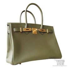 Hermes Birkin 30 Handbag v6 Canopee Epsom GHW