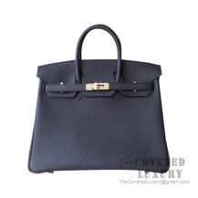 Hermes Birkin 25 Handbag Noir Togo GHW