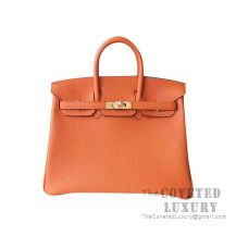 Hermes Birkin 25 Handbag Ck93 Orange Togo GHW
