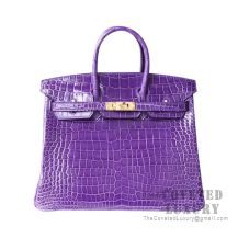 Hermes Birkin 25 Handbag 5L Ultraviolet Shiny Porosus Croc GHW
