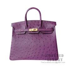 Hermes Birkin 25 Handbag 5L Ultraviolet Ostrich GHW
