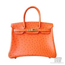 Hermes Birkin 30 Handbag ck93 Orange Ostrich GHW