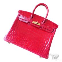 Hermes Birkin 25 Bag ck95 Braise Shiny Nile Croc GHW