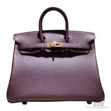 Hermes Birkin 25 Bag ck58 Prune Clemence GHW