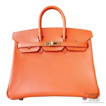 Hermes Birkin 25 Bag ck93 Orange Chevre Myzore PHW