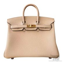 Hermes Birkin 25 Bag s2 Trench Togo GHW