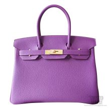 Hermes Birkin 25 Bag p9 Anemone Togo GHW