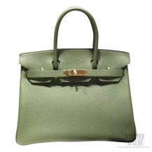 Hermes Birkin 30 Bag v6 Canopee Togo Calfskin GHW