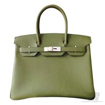 Hermes Birkin 30 Bag v6 Canopee Togo Calfskin SHW