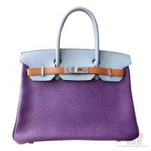 Hermes Birkin 30 Bag Multicolored p9 Anemone Togo Calfskin SHW