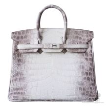 Hermes Birkin 25 Bag Himalayan Matte Niloticus Croc SHW