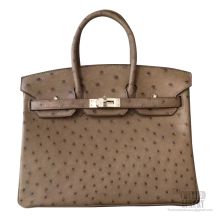 Hermes Birkin 25 Bag ck18 Etoupe Ostrich SHW