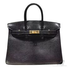 Hermes Birkin 25 Bag Black Lizard SHW