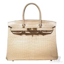 Hermes Birkin 30 Bag 1c Poussiere Matte Niloticus Croc GHW