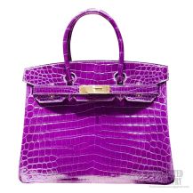 Hermes Birkin 30 Bag 5l Ultra Violet Shining Niloticus Croc GHW