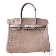 Hermes Birkin 30 Bag cc14 Beige Shining Porosus Croc SHW