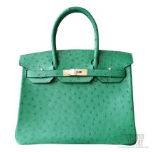 Hermes Birkin 30 Bag 6g Pelouse Ostrich GHW