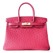 Hermes Birkin 30 Bag b5 Ruby Ostrich GHW