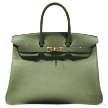 Hermes Birkin 35 cm Togo Bag Canopee V6 GHW