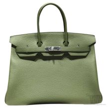 Hermes Birkin 35 cm Togo Bag Canopee V6 SHW