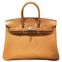 Hermes Birkin 25 Bag Gold Togo SHW