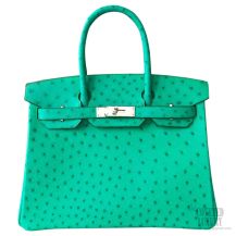 Hermes Birkin 35 Bag Menthe Ostrich SHW