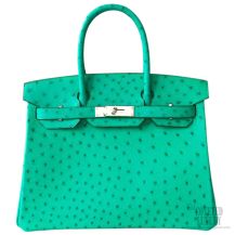 Hermes Birkin 30 Bag Menthe Ostrich SHW