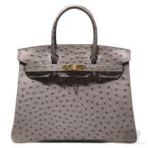 Hermes Birkin 30 Bag Mousse Gray Ostrich GHW