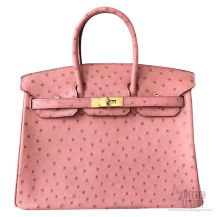 Hermes Birkin 25 Bag Terre Cuite Ostrich GHW