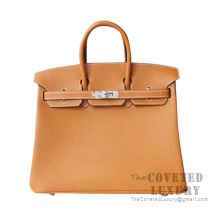 Hermes Birkin 25 Handbag 1H Toffee Epsom SHW