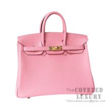 Hermes Birkin 25 Handbag 1Q Rose Confetti Epsom SHW