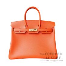 Hermes Birkin 25 Handbag CK93 Orange Epsom GHW