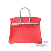 Hermes Birkin 25 Handbag S5 Rouge Tomate And 4Z Gris Mouette Epsom GHW