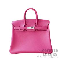 Hermes Birkin 25 Handbag L3 Rose Purple Epsom SHW