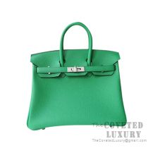 Hermes Birkin 25 Handbag 1K Bamboo Evercolor SHW