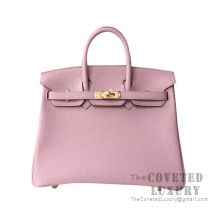 Hermes Birkin 25 Handbag 4W Glycine Clemence GHW