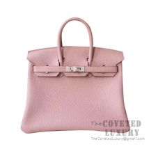 Hermes Birkin 25 Handbag 4W Glycine Clemence SHW