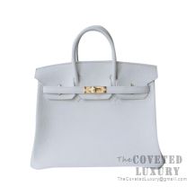 Hermes Birkin 25 Handbag 01 Blanc Togo GHW