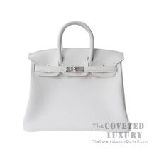 Hermes Birkin 25 Handbag 01 Blanc Togo SHW