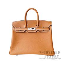 Hermes Birkin 25 Handbag 1H Toffee Togo SHW