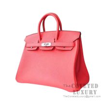 Hermes Birkin 25 Handbag 2R Rouge Pivoine Togo SHW