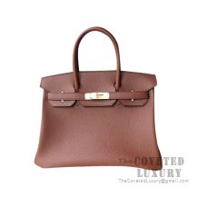 Hermes Birkin 25 Handbag 4G Brulee Togo GHW