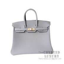 Hermes Birkin 25 Handbag 4Z Gris Mouette Togo GHW