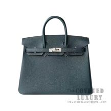 Hermes Birkin 25 Handbag 6O Vert Cypres Togo SHW