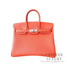 Hermes Birkin 25 Handbag 8V Orange Poppy Togo SHW