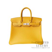 Hermes Birkin 25 Handbag 9D Ambre Togo GHW