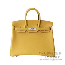 Hermes Birkin 25 Handbag 9D Ambre Togo SHW