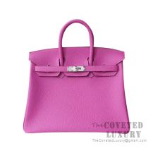 Hermes Birkin 25 Handbag 9I Magnolia Togo SHW