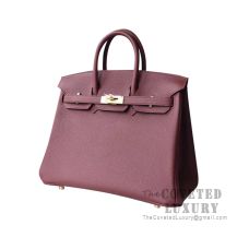 Hermes Birkin 25 Handbag CK55 Rouge H Togo GHW