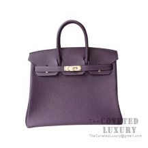 Hermes Birkin 25 Handbag 59 Raisin Togo GHW